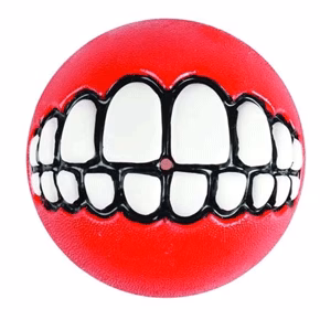 Grinz Ball