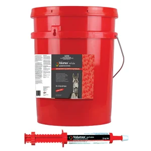 ValuMAX Horse Worming Paste 32.4g