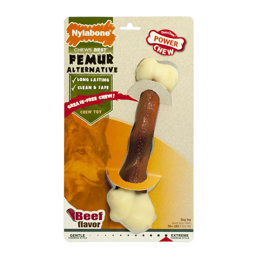 Nylabone Power Chew Femur Alternative Chew Toy - Beef - Bild 5