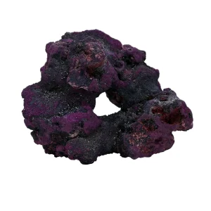 Live Rock - Donut Pest Free Live Rock