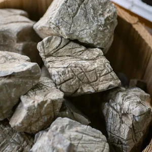 Ancient Elephant Skin Stone