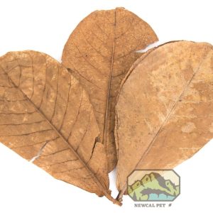 New-Cal Almond Leaves Grade AAA (10 pack)