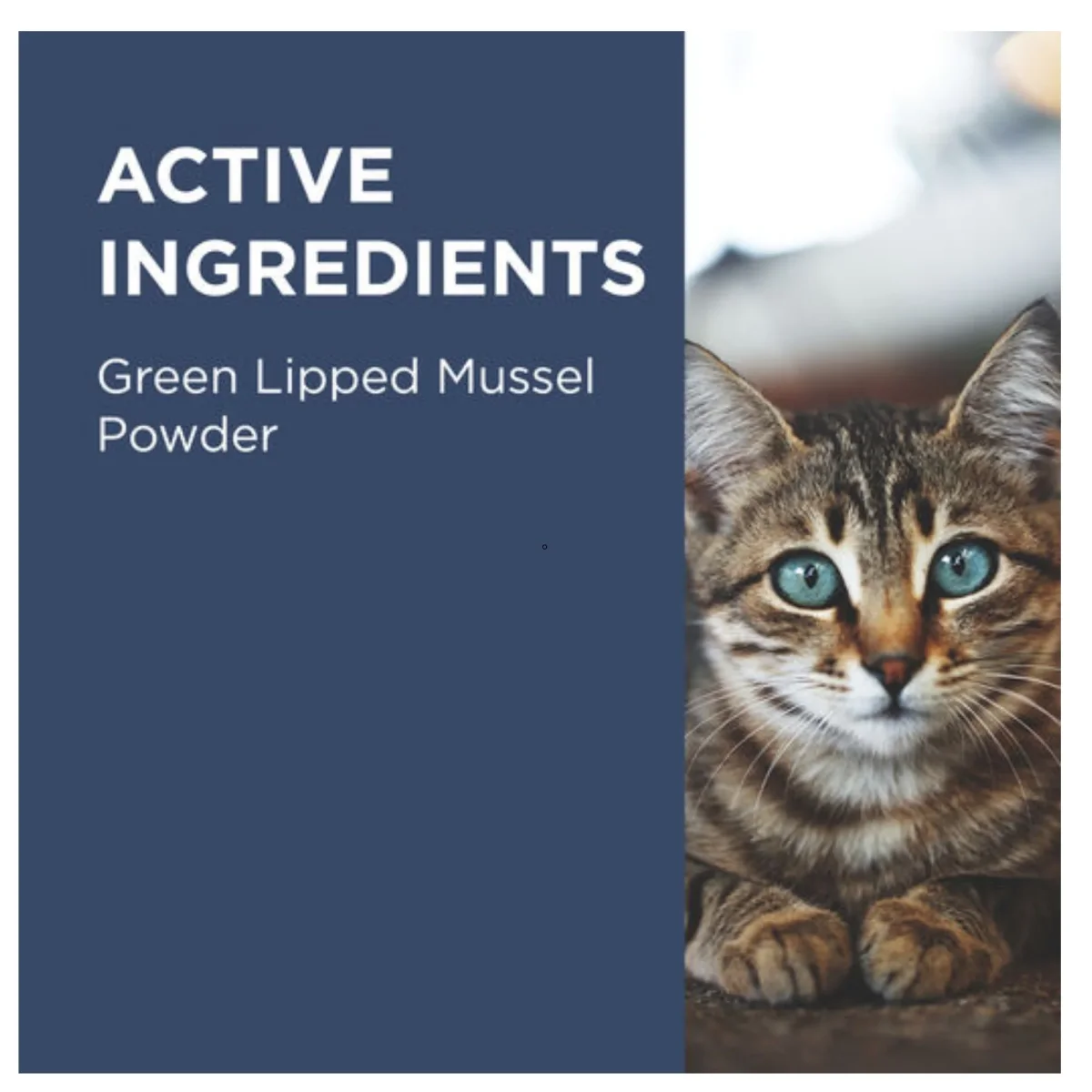 PAW OsteoSupport Joint Care Powder for Cats 60's - Bild 4