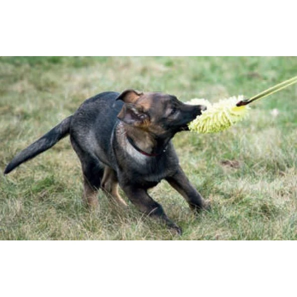 KLIN Puppy Toy, Microfiber with Bungee - Bild 4