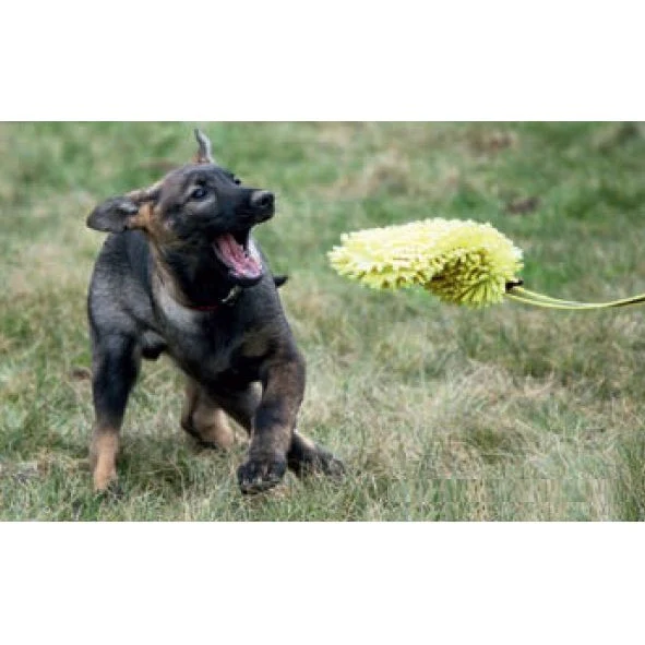 KLIN Puppy Toy, Microfiber with Bungee - Bild 3