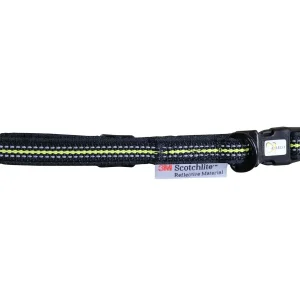 4 Season Collar