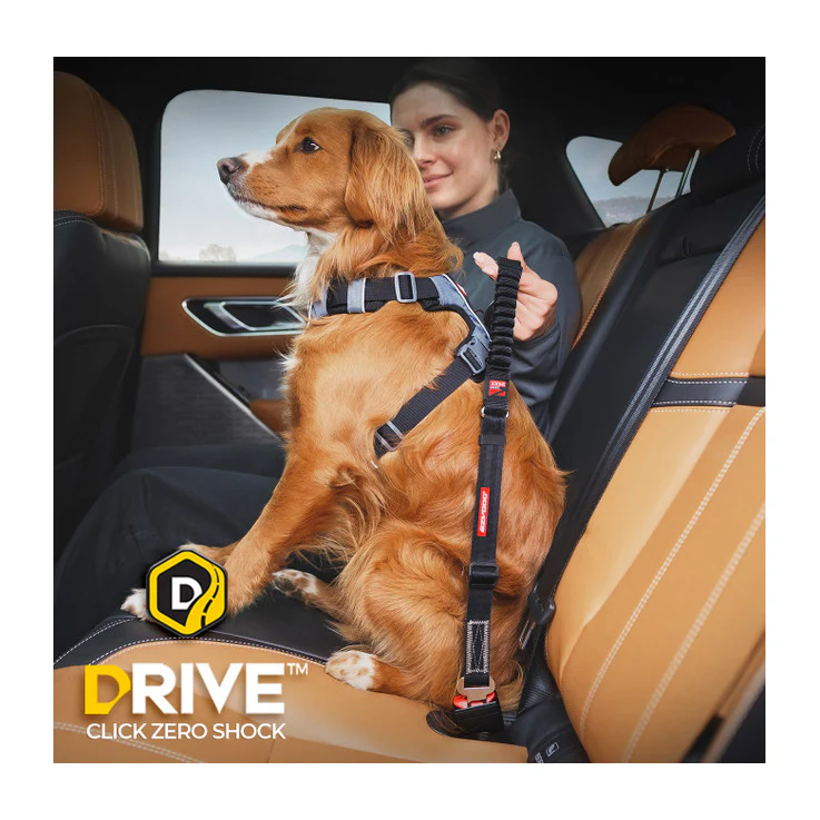 EzyDog Click Dog Seat Belt - Zero Shock - Bild 4