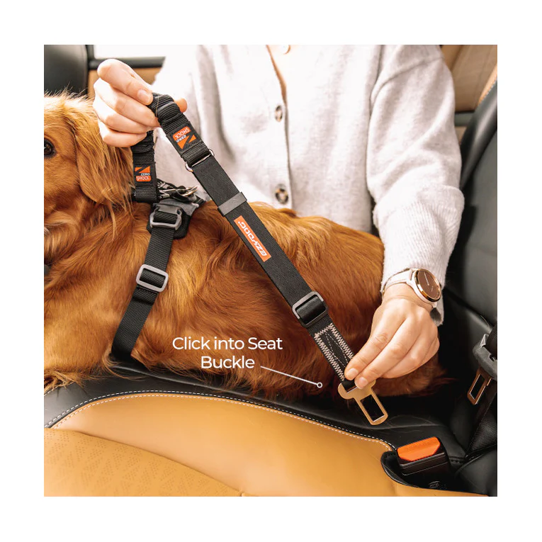 EzyDog Click Dog Seat Belt - Zero Shock - Bild 5